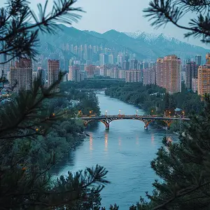 成都运达科技怎么样